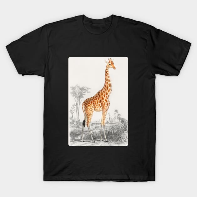 Giraffe Arts T-Shirt by hubcon